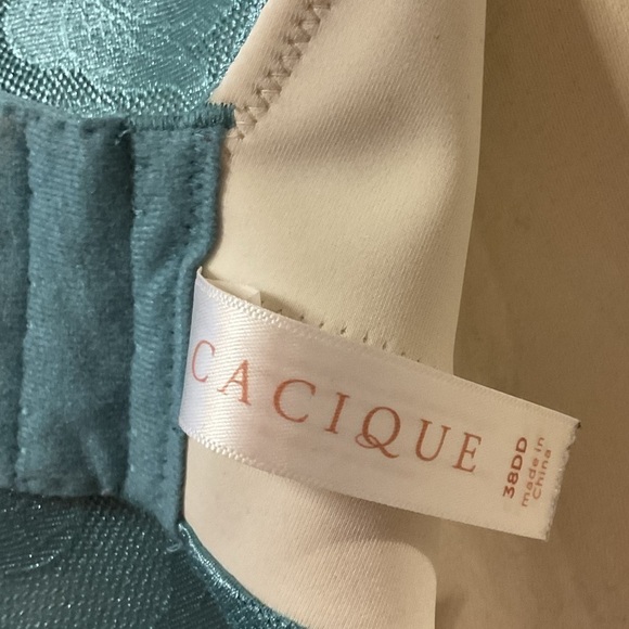Cacique Totally Smooth Lightly Lined Full Coverage Bra teal blue lace 38DD - Picture 4 of 9